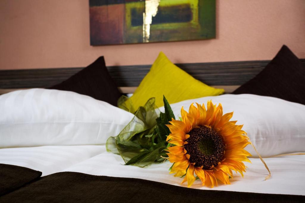 Hotel Relax Rajecké Teplice Habitación foto